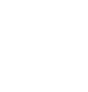 ZeldaWikiLogo.svg